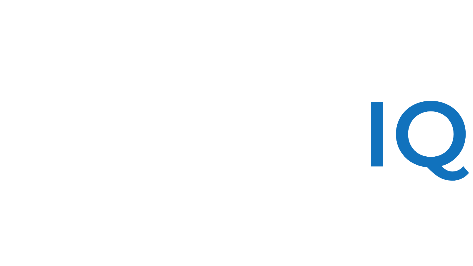 discipleIQ (1)